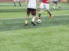 郑钦文可能,面临连续两,日激战,太阳城,太阳城娱乐,太阳城app,太阳城赌场